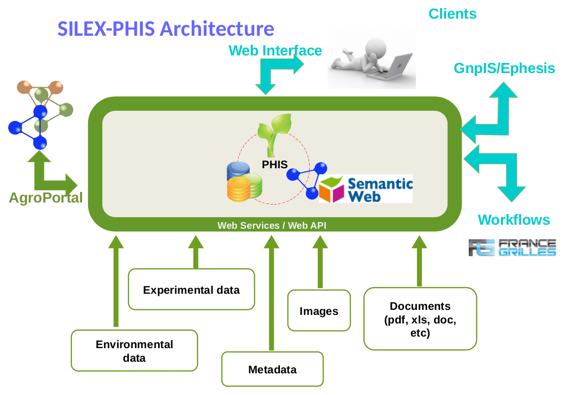 phis-architecture